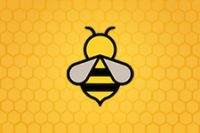 Spelling Bee